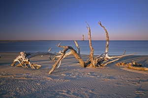 driftwood-at-sunset 8490309509 o