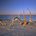 driftwood-at-sunset_8490309509_o.jpg